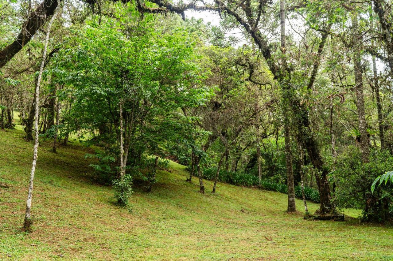 Incrivel Casa Com Cachoeira Em Meio A Natureza Casa de férias *