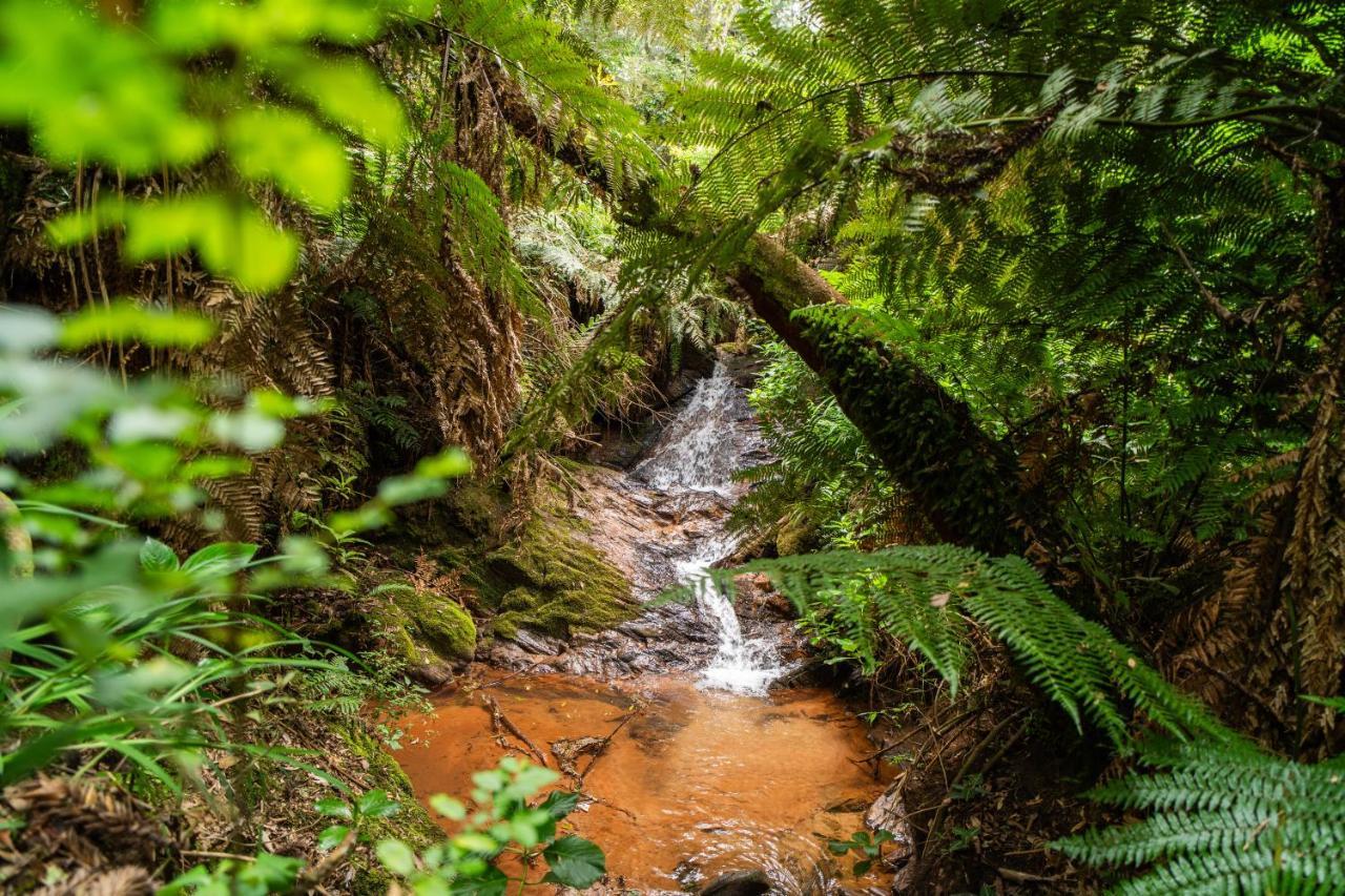 Incrivel Casa Com Cachoeira Em Meio A Natureza