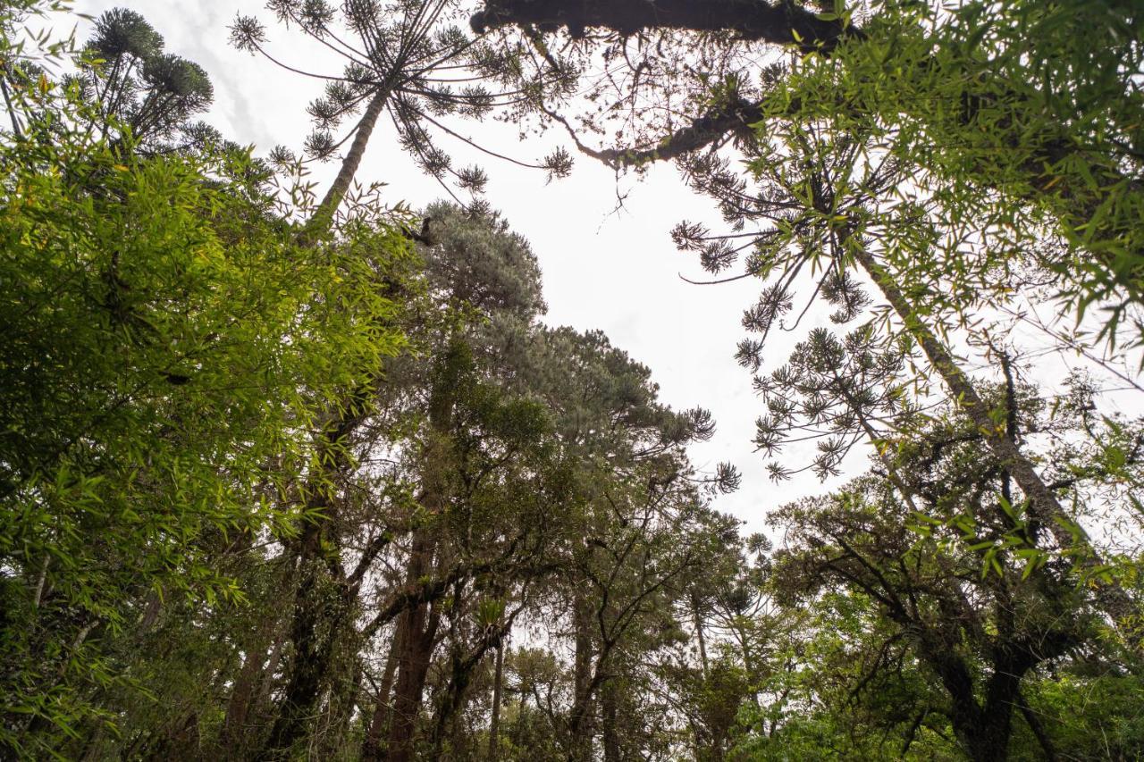Incrivel Casa Com Cachoeira Em Meio A Natureza Casa de férias Campos do Jordão