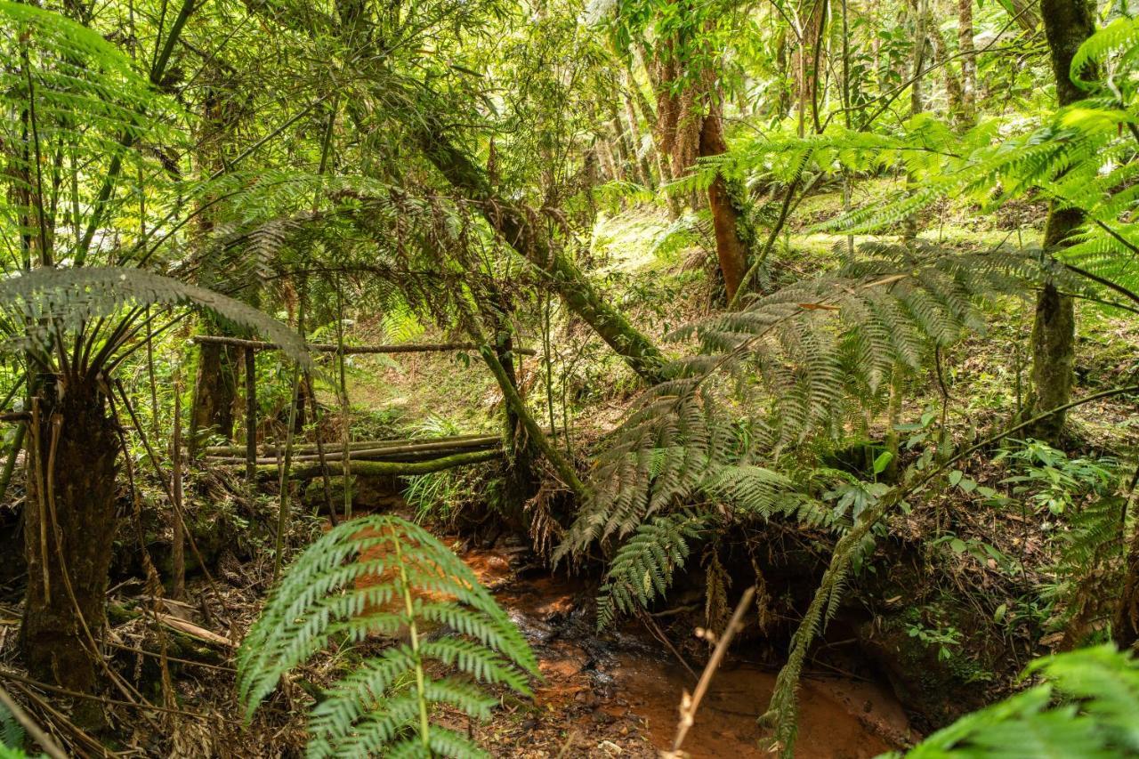 Incrivel Casa Com Cachoeira Em Meio A Natureza Casa de férias Campos do Jordão